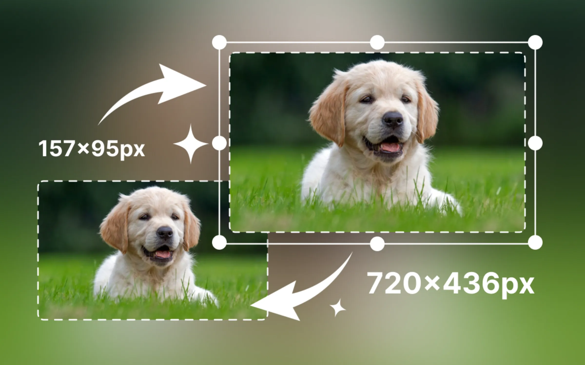 Free Image Resizer Online tool graphic banner design - TimeSpace Studio