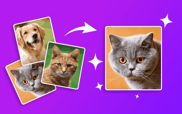 Free Image to Animated Gif maker Online tool graphic banner design - TimeSpace Studio